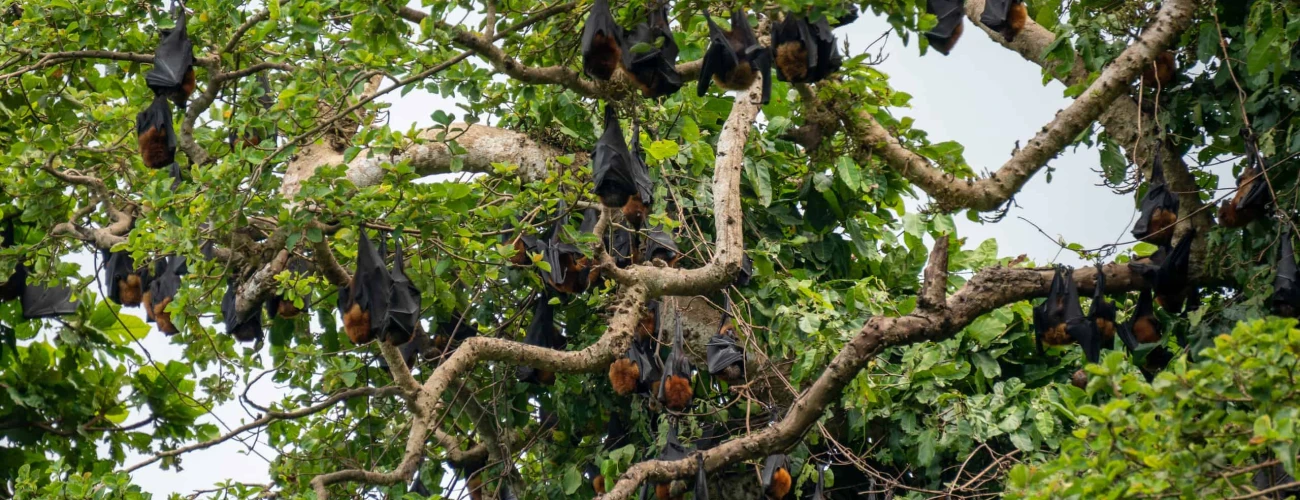 Here are some of the top safari destinations in Tanzania