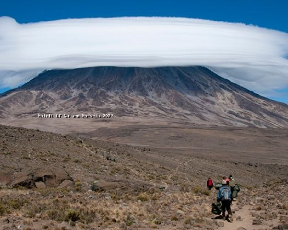 Mt. Kilimanjaro Climb Lemosho Route