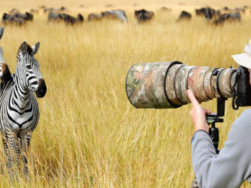 Serengeti Safari Spirit of Nature Tour