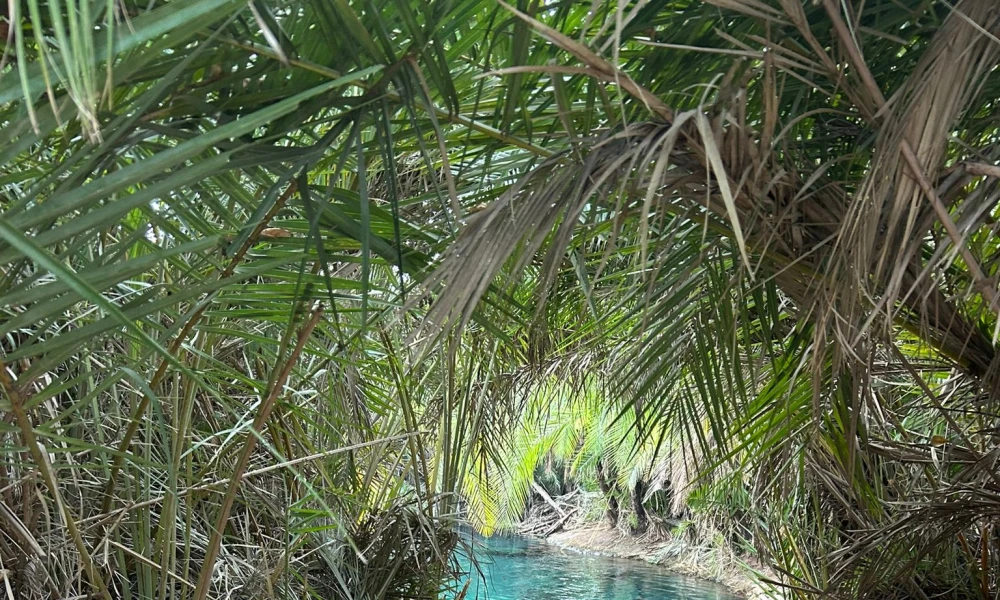 Chemka Blue Clear Waters