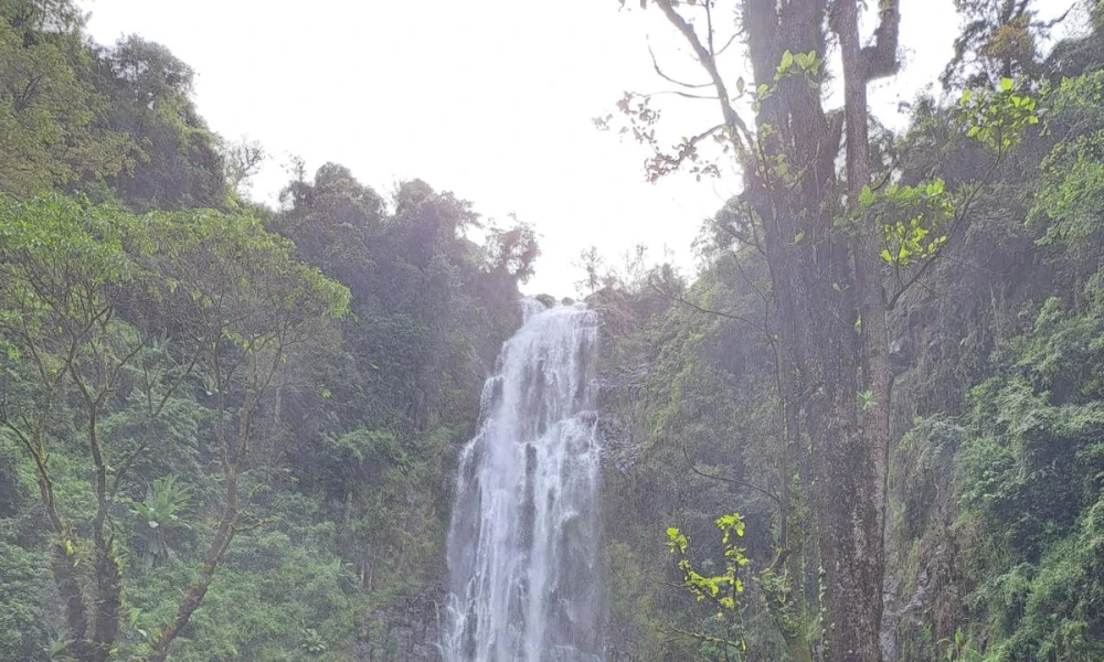 The Cascading Waters