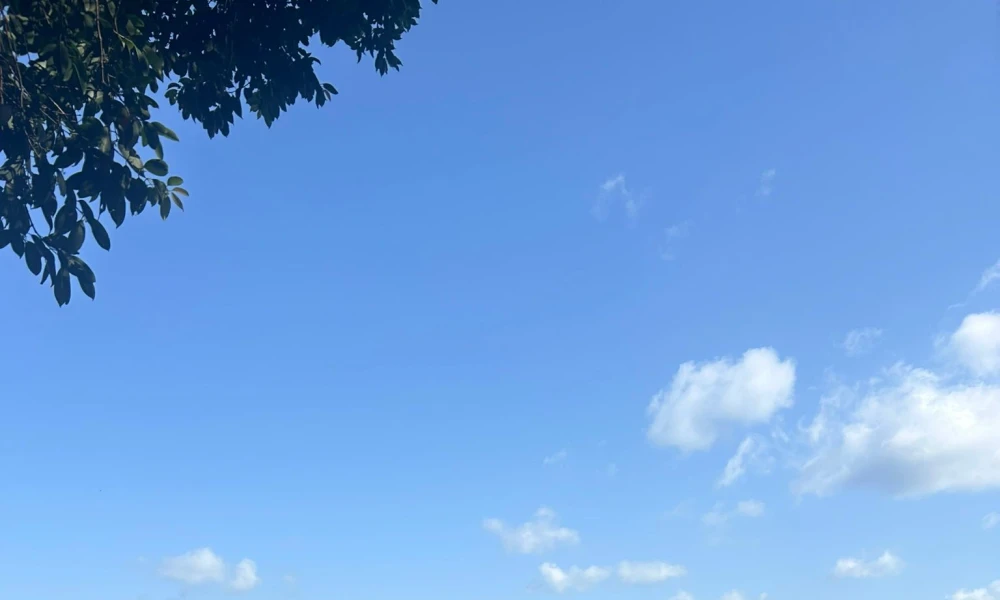 The Stunning View of Lake Duluti 